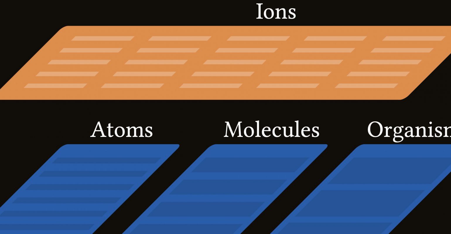 Die Abbildung zeigt, dass das Ions über den Ebenen Atom, Molekül und Organismus liegt.